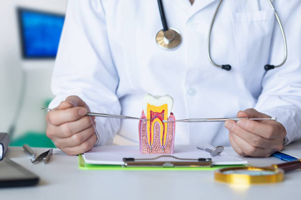 Best Emergency Wisdom Teeth Removal in Lynchburg, OH